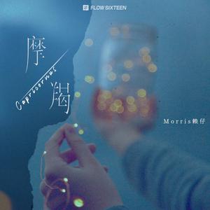 午夜国产无码在线观看
