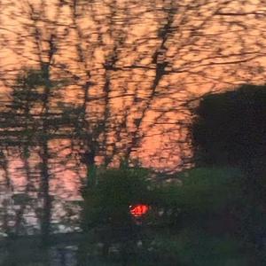 午夜国产无码在线观看
